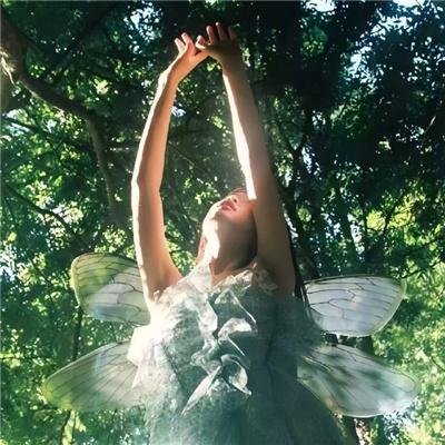 踹掉前夫后，大小姐在娱乐圈独美